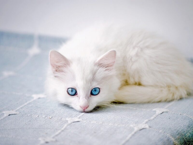 Гороскоп для всіх знаків зодіаку на вихідні 13-14 вересня 2025 року