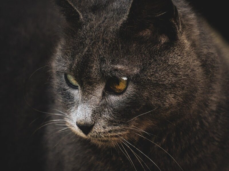 Гороскоп для всіх знаків зодіаку на вихідні 27-28 вересня 2025 року