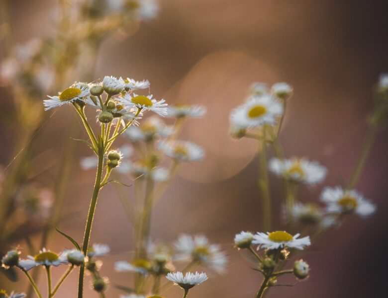 Гороскоп для всіх знаків зодіаку на вихідні 6-7 вересня 2025 року
