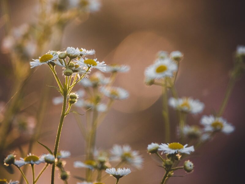 Гороскоп для всіх знаків зодіаку на вихідні 6-7 вересня 2025 року