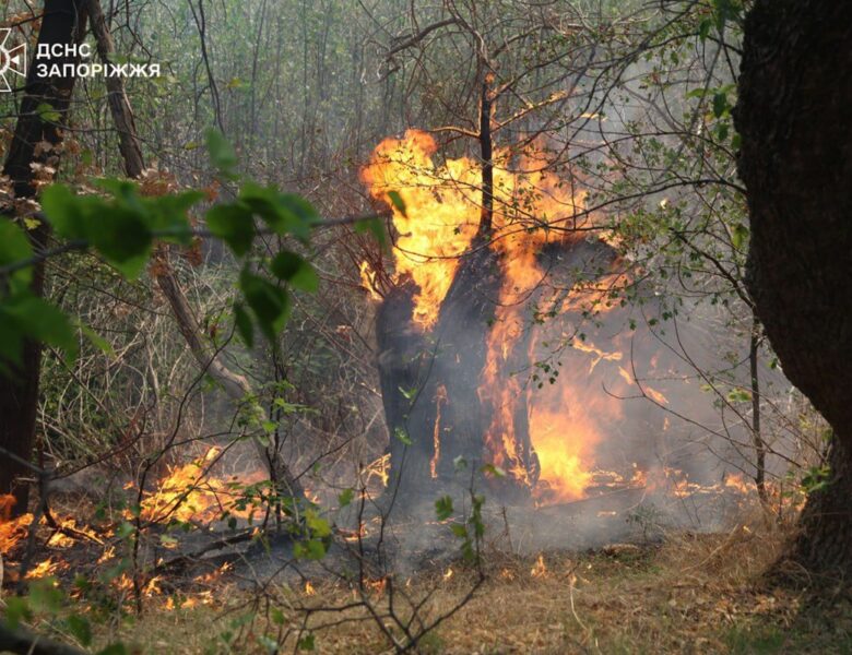 На Хортиці спалахнула масштабна пожежа