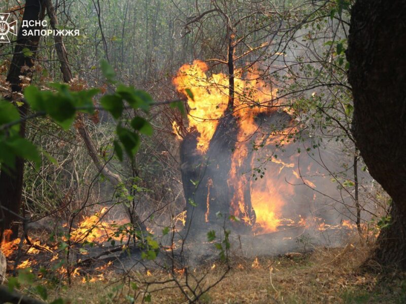 На Хортиці спалахнула масштабна пожежа