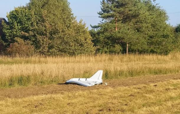 Не 17: у Польщі назвали кількість дронів РФ, що залетіли в країну