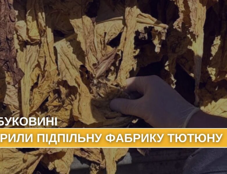 На Буковині викрито та припинено підпільне виробництво тютюну, який реалізовували по всій країні