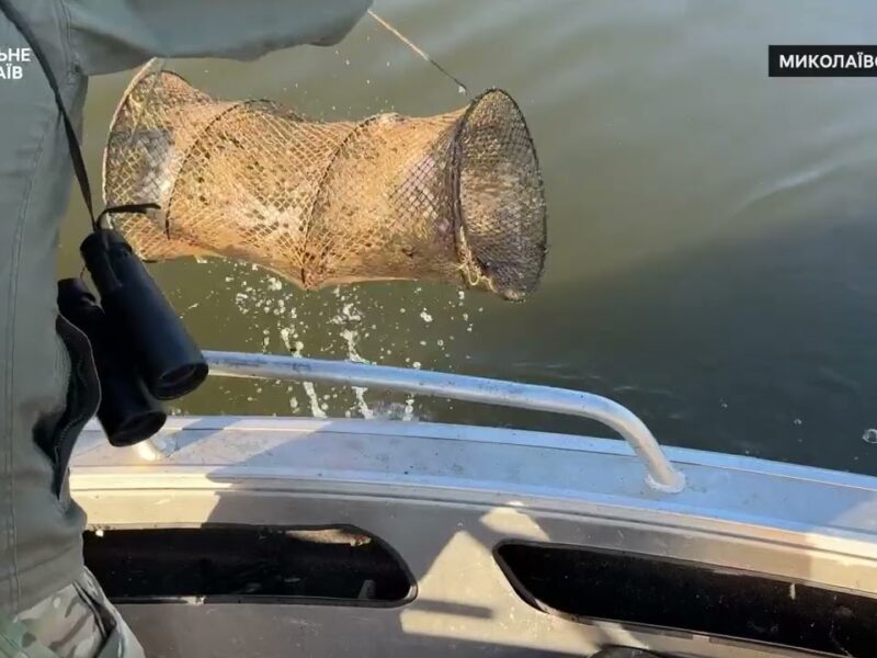 ❗️Рибоохоронний рейд на Південному Бузі