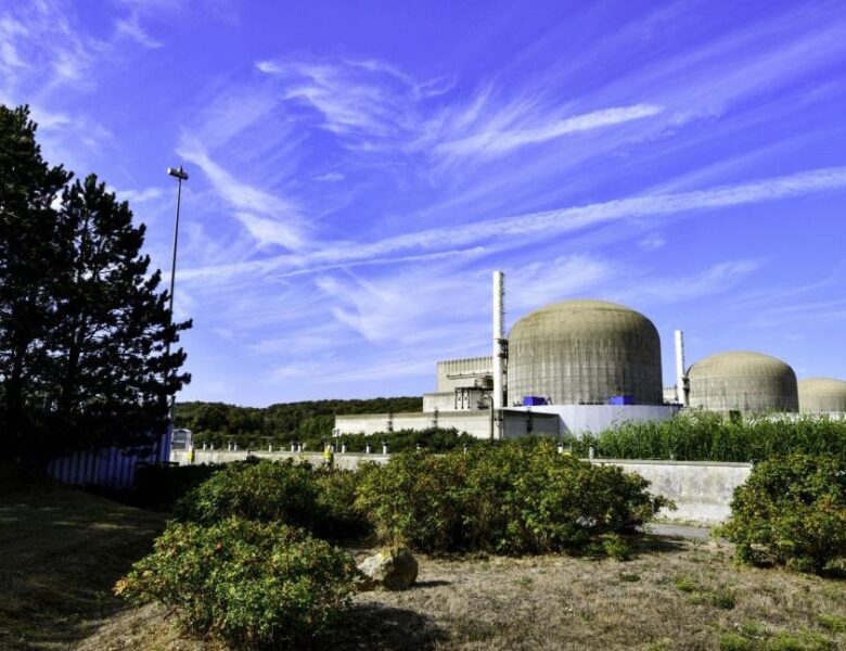 Рій медуз “зменшив” виробництво електроенергії на АЕС у Франції