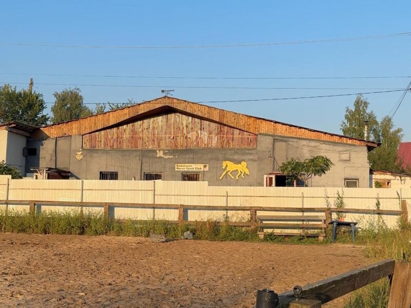 Росіяни вдарили по кінному клубу на Київщині