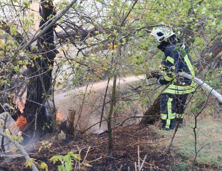 Рятувальники другу добу гасять пожежу на Хортиці