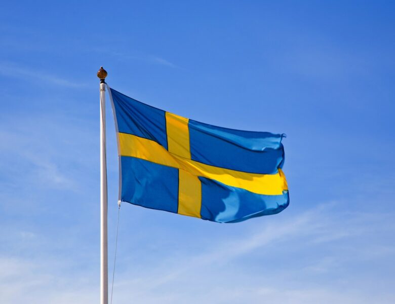 Швеція оголосила новий “зимовий” пакет для України