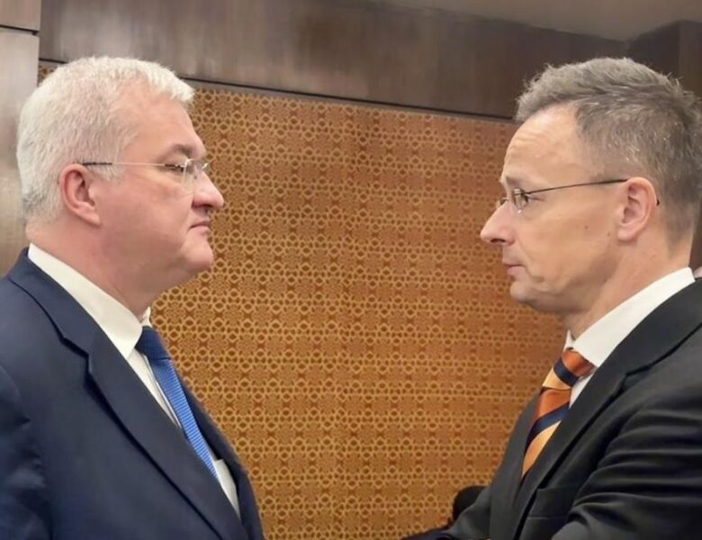 Сибіга обговорив з Сійярто рух України в ЄС