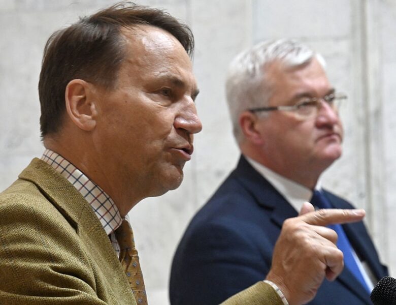 Сікорський зробив заяву щодо вступу України в ЄС