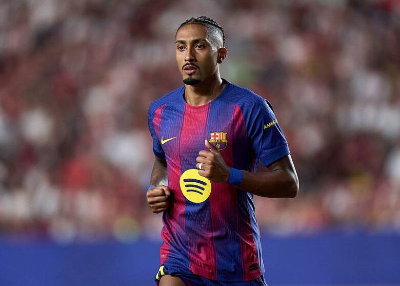 Сина Рафіньї оминули увагою в Діснейленді