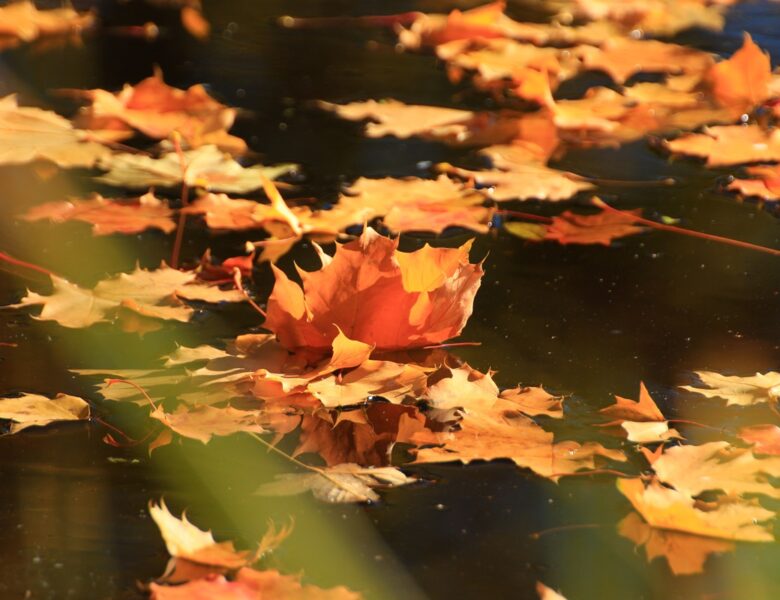 Тепло, подекуди дощитиме: прогноз погоди на початок тижня