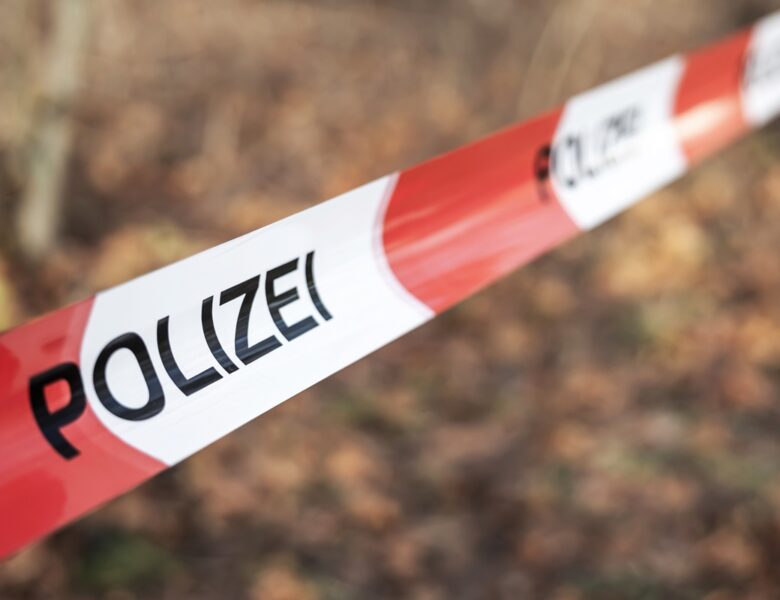 У Німеччині вбили 16-річну українку, штовхнувши під вантажний потяг