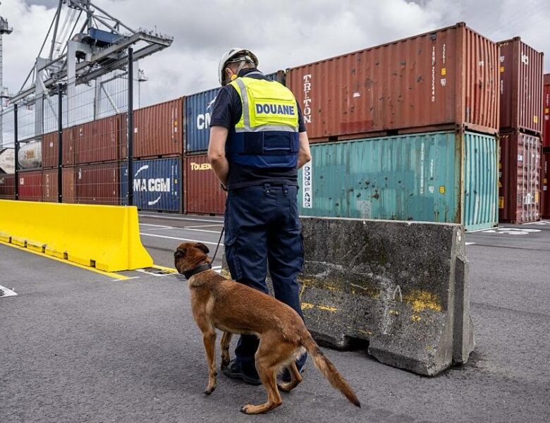 В порту Антверпена бельгійська поліція вилучила 1,2 тонни кокаїну