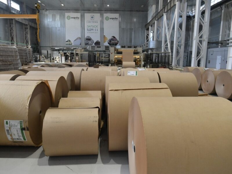 В Росії прогорає паперовий бізнес – розвідка