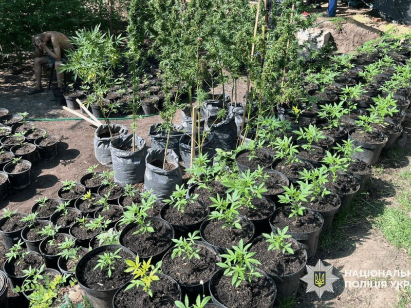 В Україні провели другий етап спецоперації Джентельмени