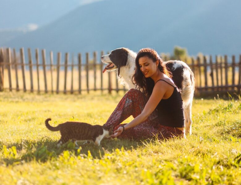 В Україну повернеться “літнє” тепло до +27