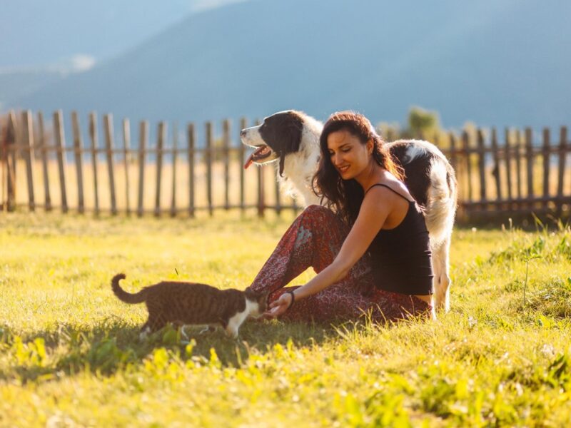 В Україну повернеться “літнє” тепло до +27