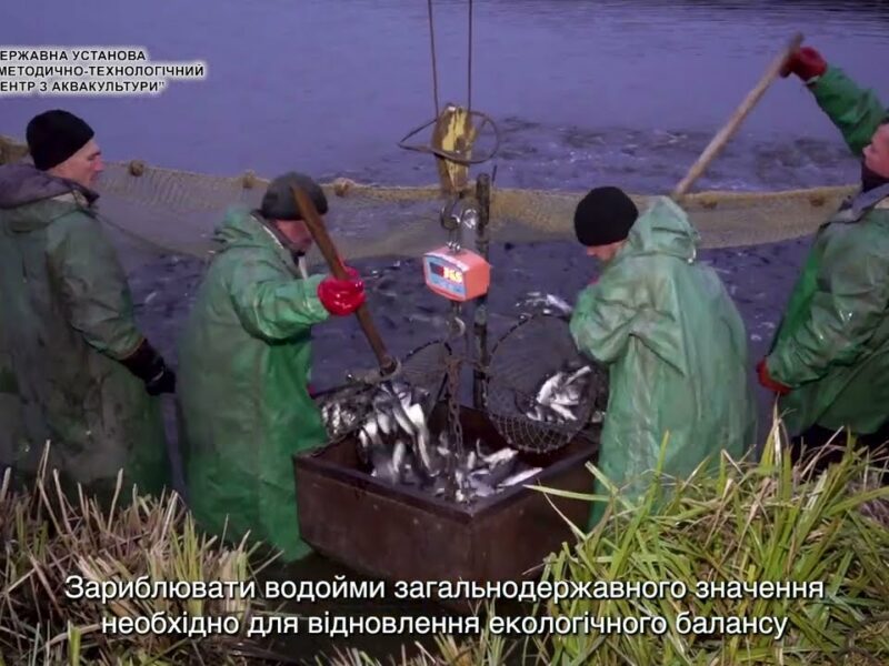 ❗️Відновлення водних біоресурсів – шлях до екологічного балансу та сталого розвитку