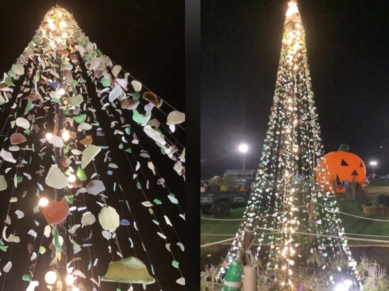 Американець створив 4,5-метрову ялинку з морського скла