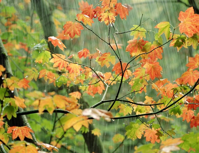 Дощі та грози, з потеплінням до +20°: погода на вихідні