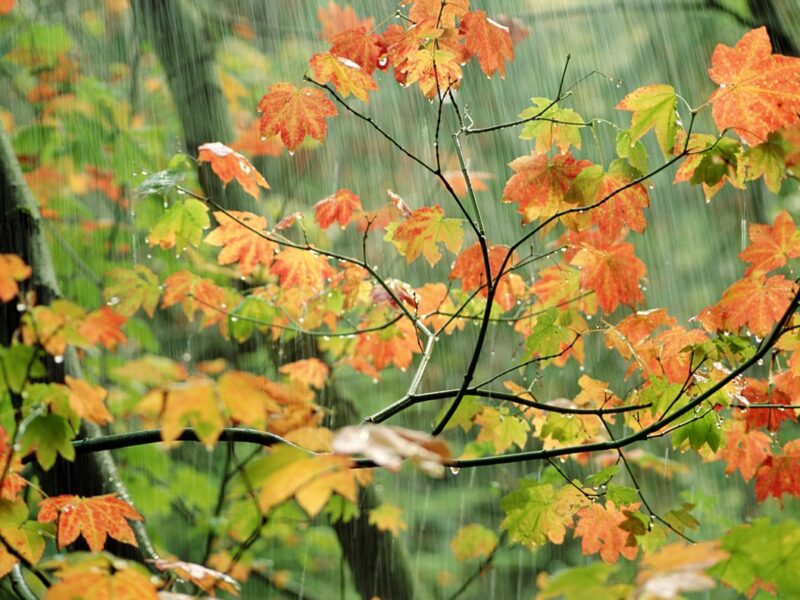 Дощі та грози, з потеплінням до +20°: погода на вихідні
