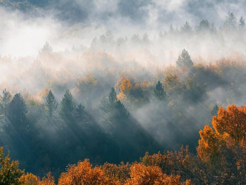 Гороскоп для всіх знаків зодіаку на 14 жовтня 2025 року