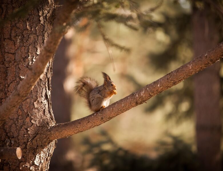 Гороскоп для всіх знаків зодіаку на 15 жовтня 2025 року