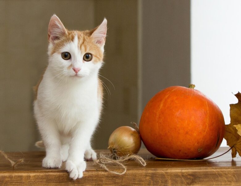 Гороскоп для всіх знаків зодіаку на 16 жовтня 2025 року