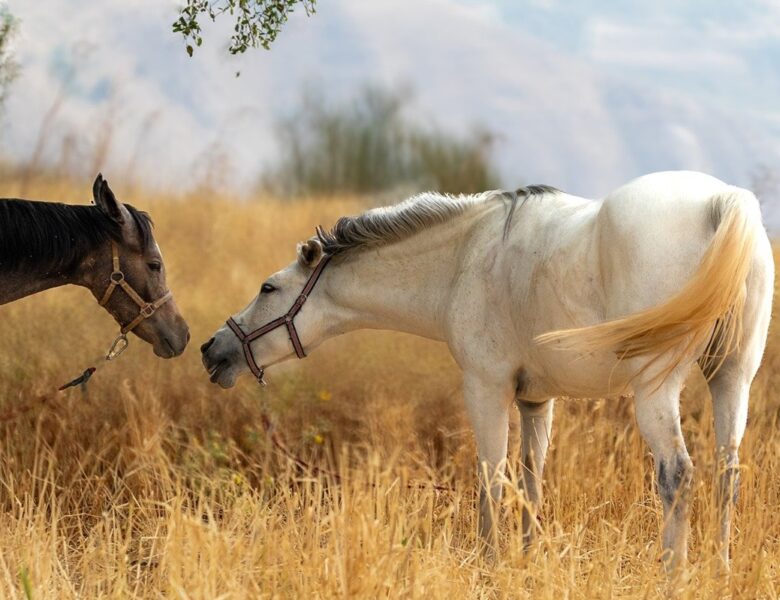 Гороскоп для всіх знаків зодіаку на 21 жовтня 2025 року