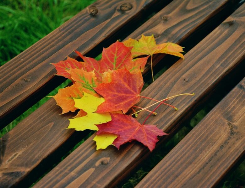 Гороскоп для всіх знаків зодіаку на 25 жовтня 2025 року