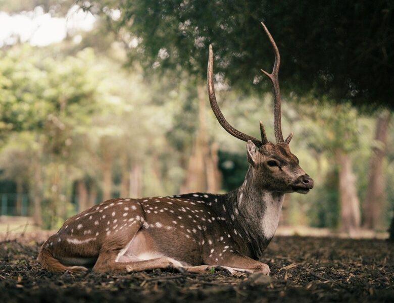 Гороскоп для всіх знаків зодіаку на 28 жовтня 2025 року