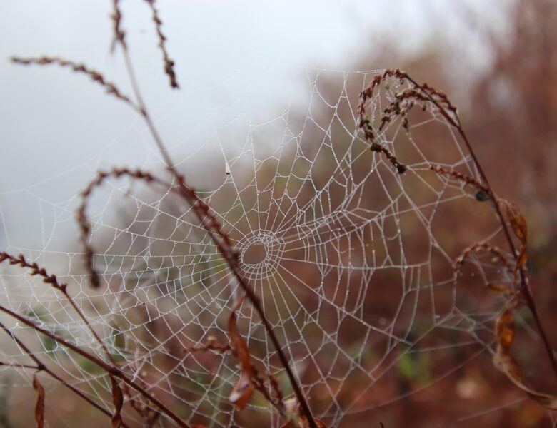 Гороскоп для всіх знаків зодіаку на 30 жовтня 2025 року