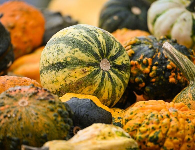 Гороскоп для всіх знаків зодіаку на перші вихідні жовтня 2025 року