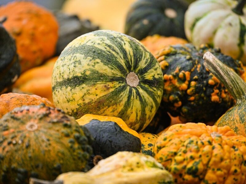 Гороскоп для всіх знаків зодіаку на перші вихідні жовтня 2025 року