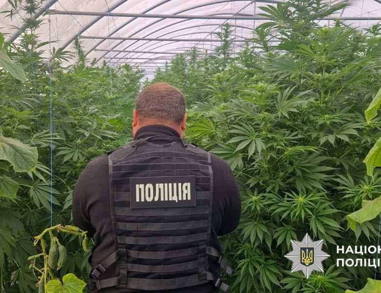 На Дніпропетровщині викрили наркоаграріїв