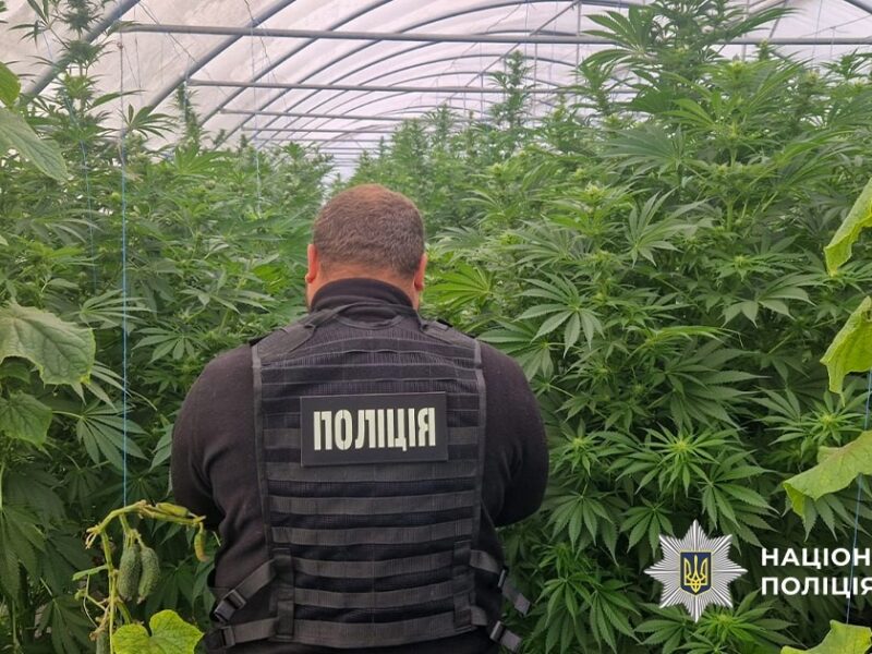 На Дніпропетровщині викрили наркоаграріїв
