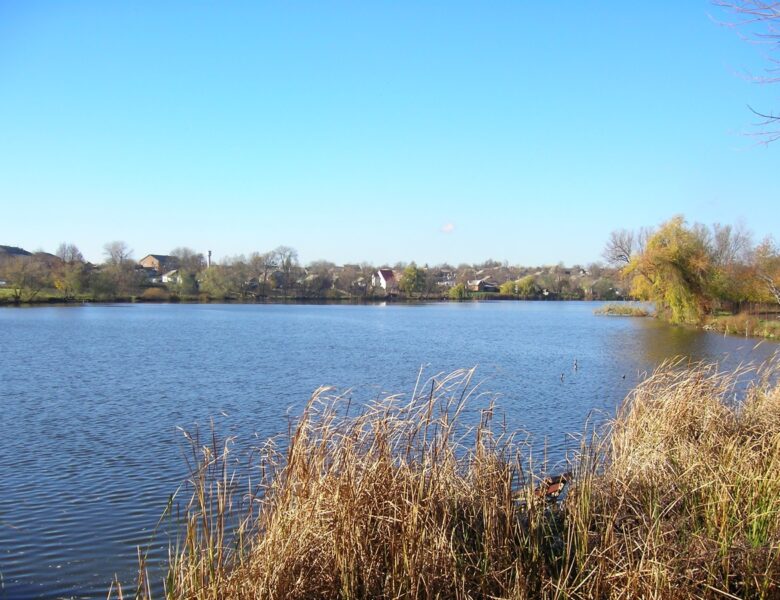 На Гайсинщині зафіксували масовий мор риби