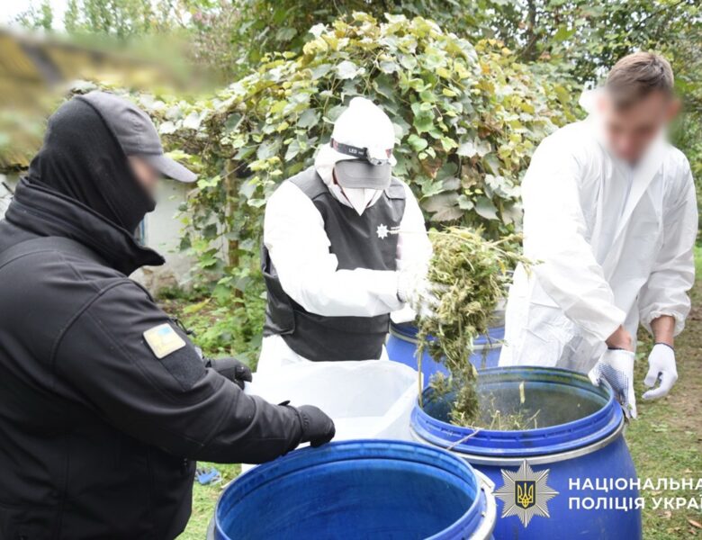 На Київщині вилучили наркотиків на 15 млн грн