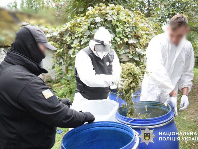 На Київщині вилучили наркотиків на 15 млн грн