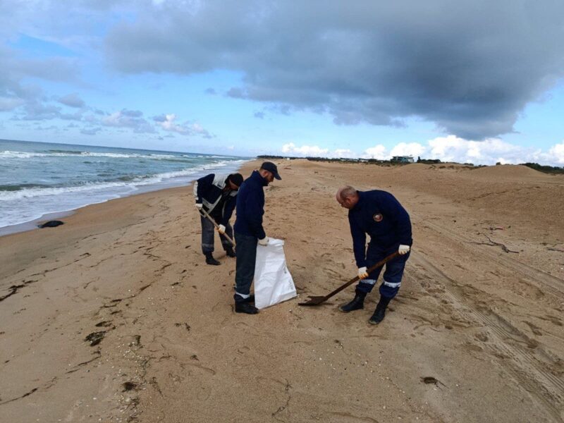 На пляжах Анапи з’явилися нові викиди мазуту