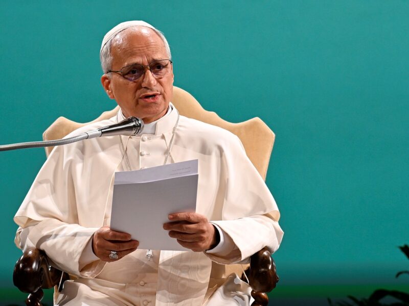 Папа Лев XIV засудив тих, хто заперечує зміни клімату