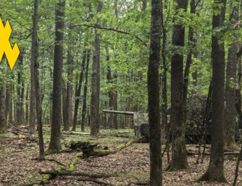 Партизани допомогли зірвати наступ РФ під Вовчанськом