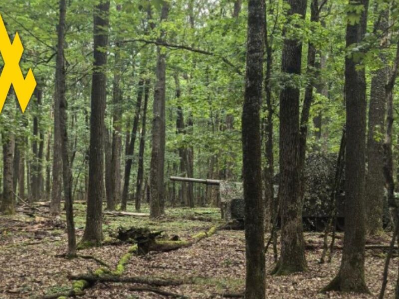 Партизани допомогли зірвати наступ РФ під Вовчанськом