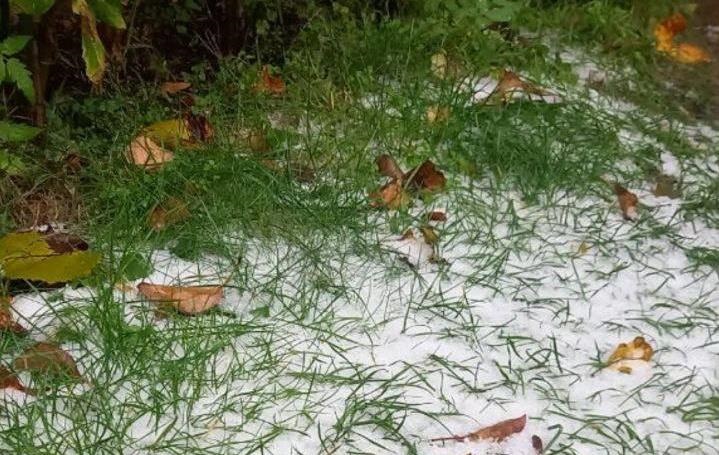 Під Києвом випав перший сніг – соцмережі