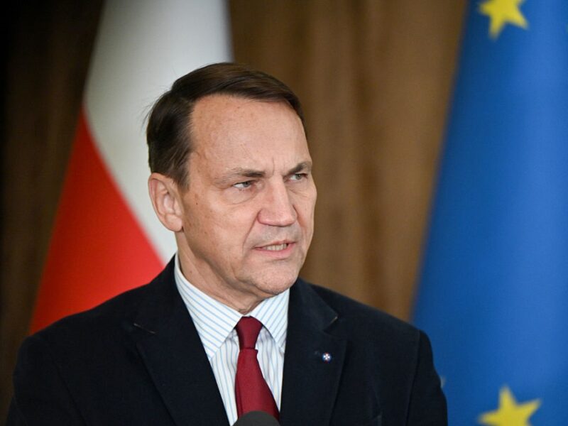 Сікорський: Ірану краще не продавати дрони Росії