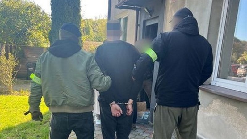 У Польщі затримали палія автівок з українськими номерами