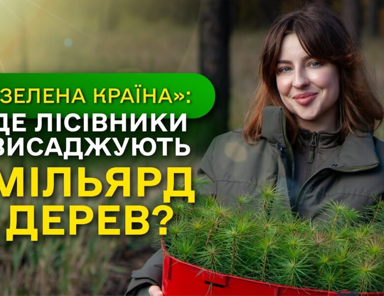 Замість уламків РАКЕТ – молодий ЛІС / ДП “Ліси України” завершує програму Президента ЗЕЛЕНА КРАЇНА