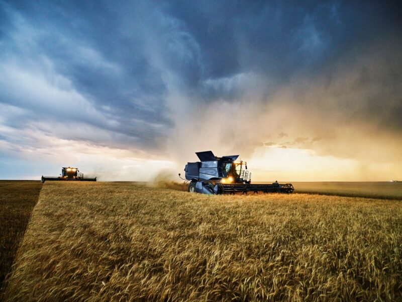 Українські аграрії обмолотили 65% зернових площ